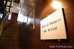 階段横にもモノトーンの作品が飾られる